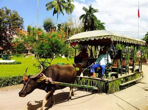 manila to villa escudero travel time|VILLA ESCUDERO DAY TOUR with Carabao Cart Ride and .